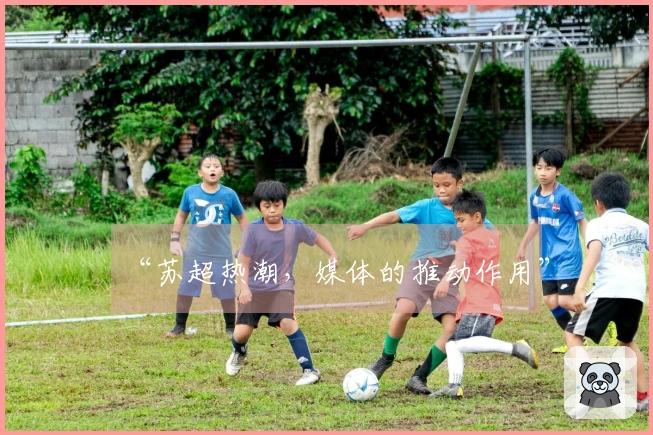 “苏超热潮，媒体的推动作用”