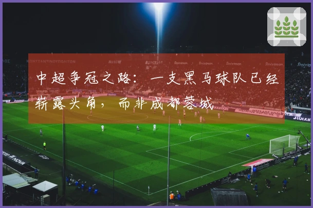 中超争冠之路：一支黑马球队已经崭露头角，而非成都蓉城